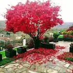 Philoxenia Hotel