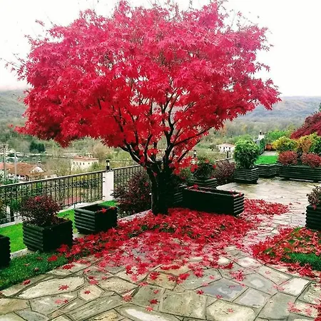 Philoxenia Hotel