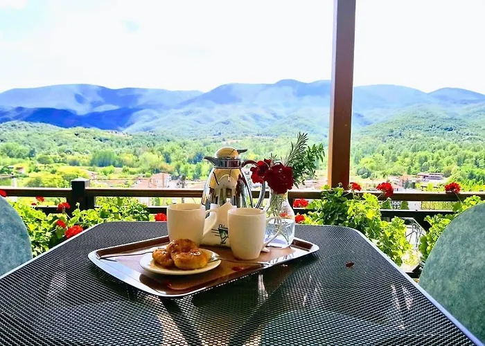 Philoxenia 3* Paranesti