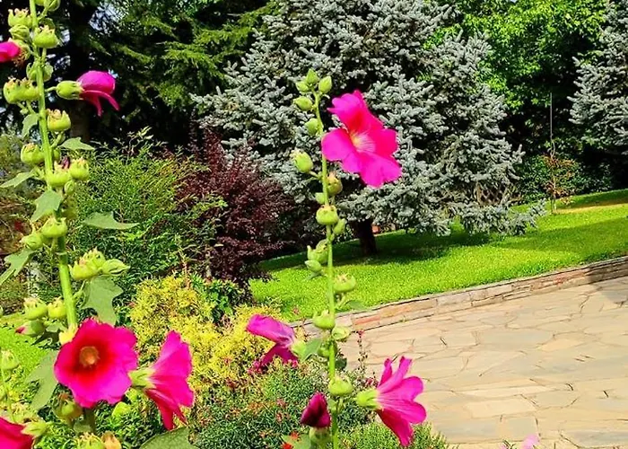 Philoxenia Paranesti